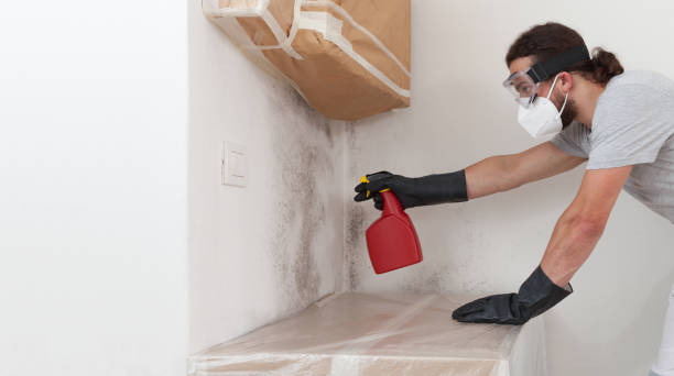 Professional Crawl Space Mold Removal technician working in Asbury Park, NJ