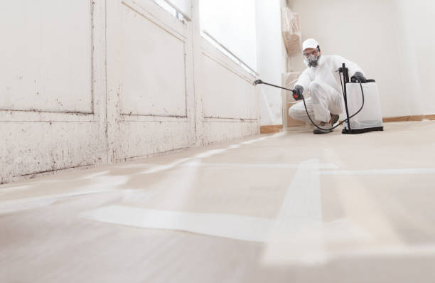 24/7 Emergency Crawl Space Mold Removal experts in Asbury Park, NJ