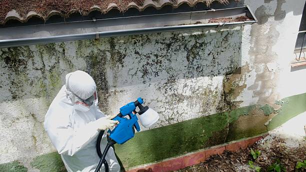 Trusted Crawl Space Mold Removal service in Asbury Park, NJ - Cheap Mold Removal